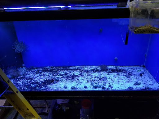 Tropical Fish Store «Seascape Aquatics», reviews and photos, 5038 Academy Blvd N, Colorado Springs, CO 80918, USA