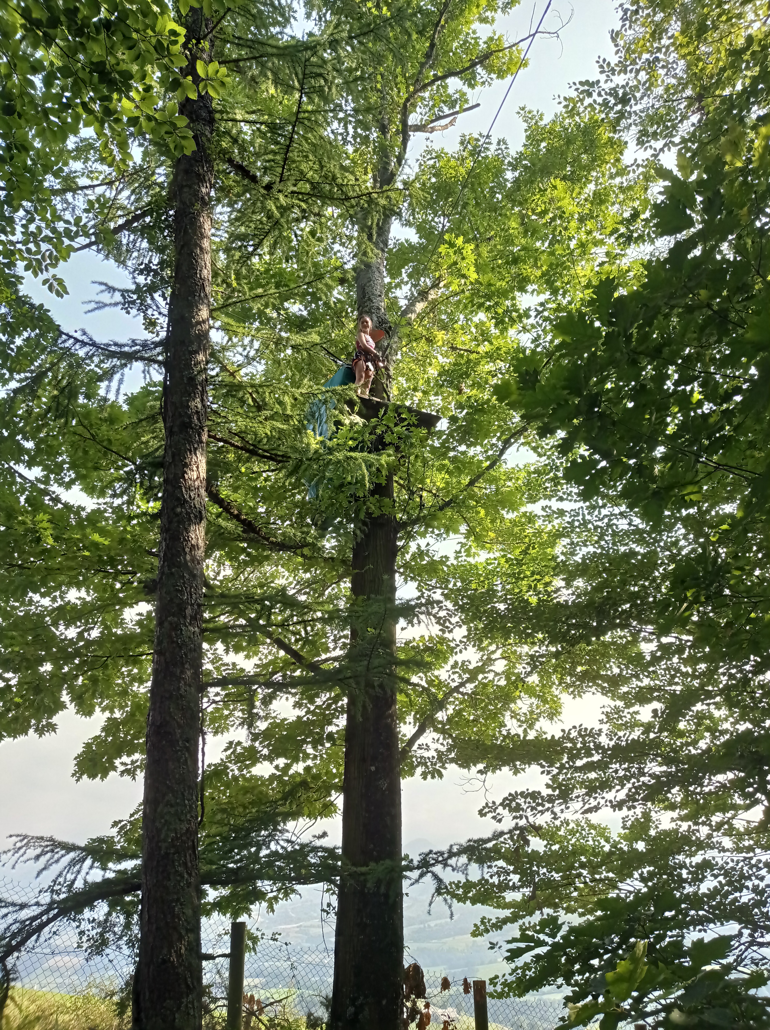 Photo n° 2 de l'avis de Sylvie.h fait le 22/07/2021 à 17:12