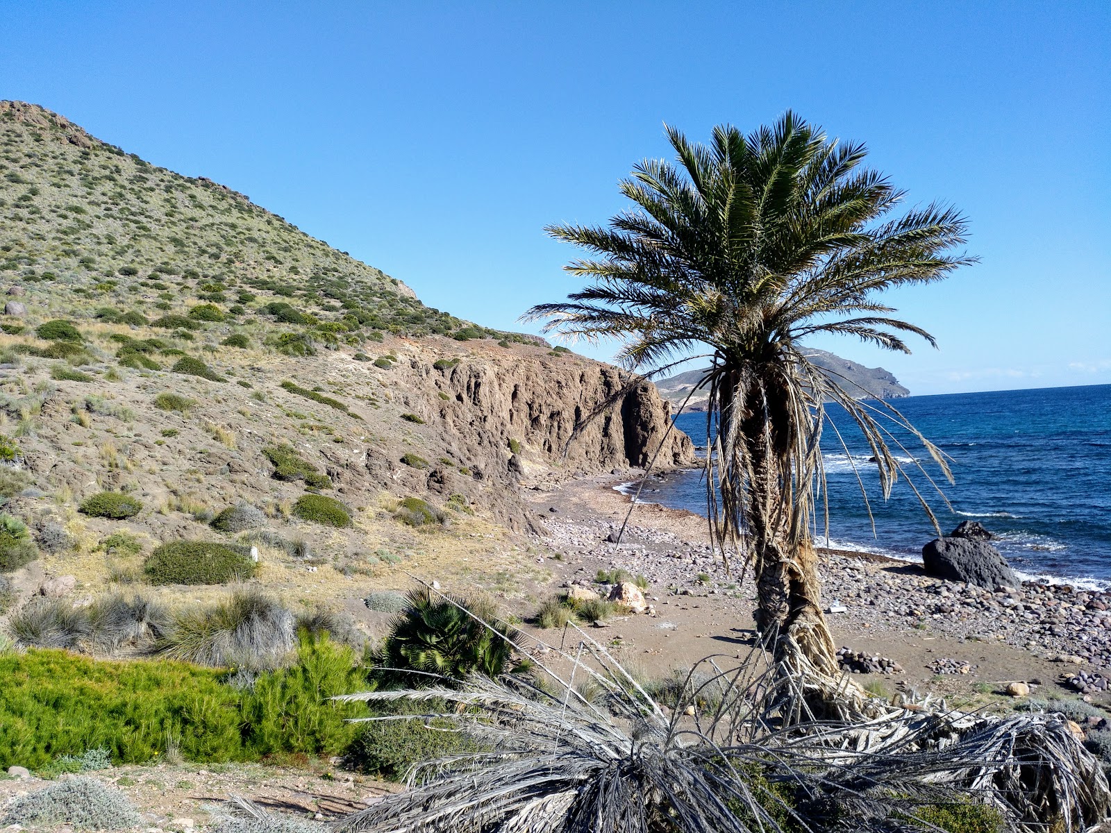 Cala de los Toros'in fotoğrafı taşlı kum yüzey ile