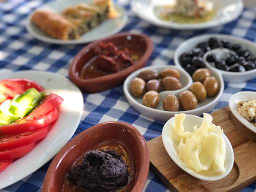 Toprak Ana Gündoğan