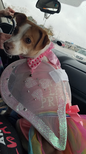 Pet Supply Store «Pet Supplies Plus», reviews and photos, 2424 W State St, Alliance, OH 44601, USA