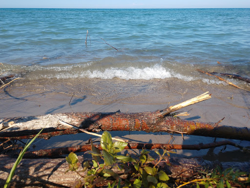 State Park «Lakeport State Park», reviews and photos, 7605 Lakeshore Rd, Lakeport, MI 48059, USA