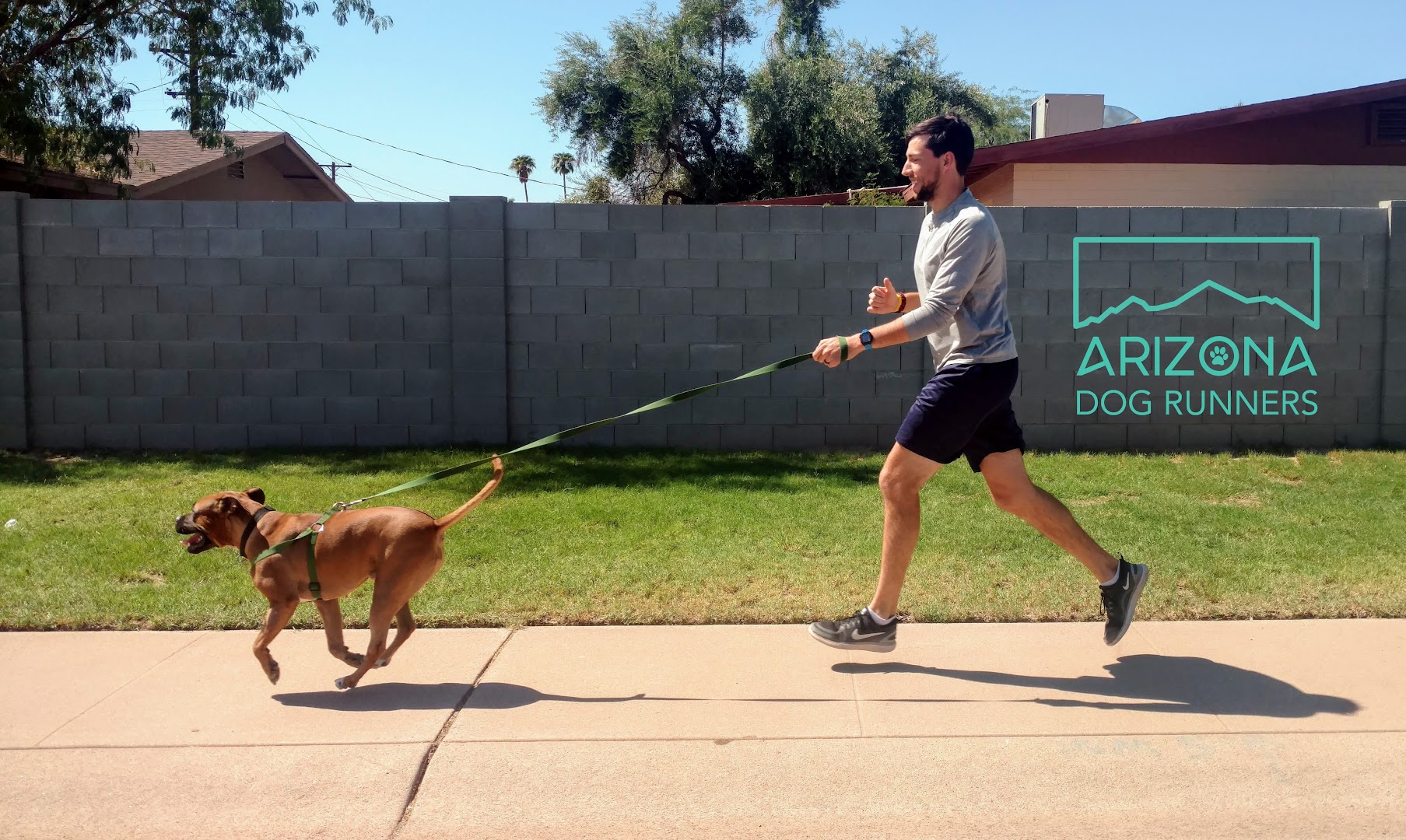 Arizona Dog Runners
