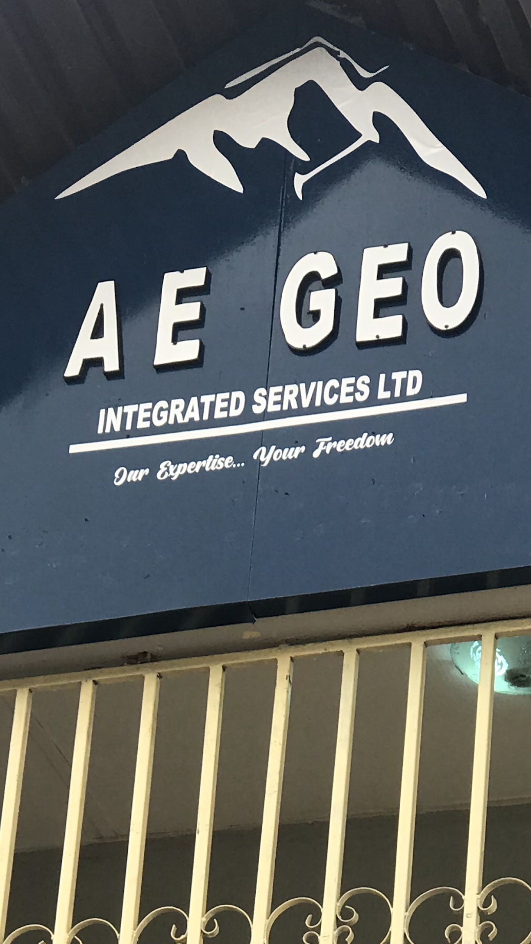 AE GEO INTEGRATED SERVICES LTD