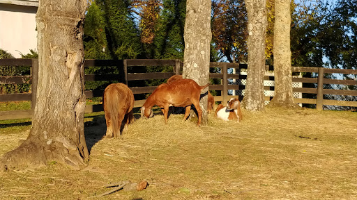 Winery «Aspen Dale Winery at the Barn», reviews and photos, 11083 John Marshall Hwy, Delaplane, VA 20144, USA