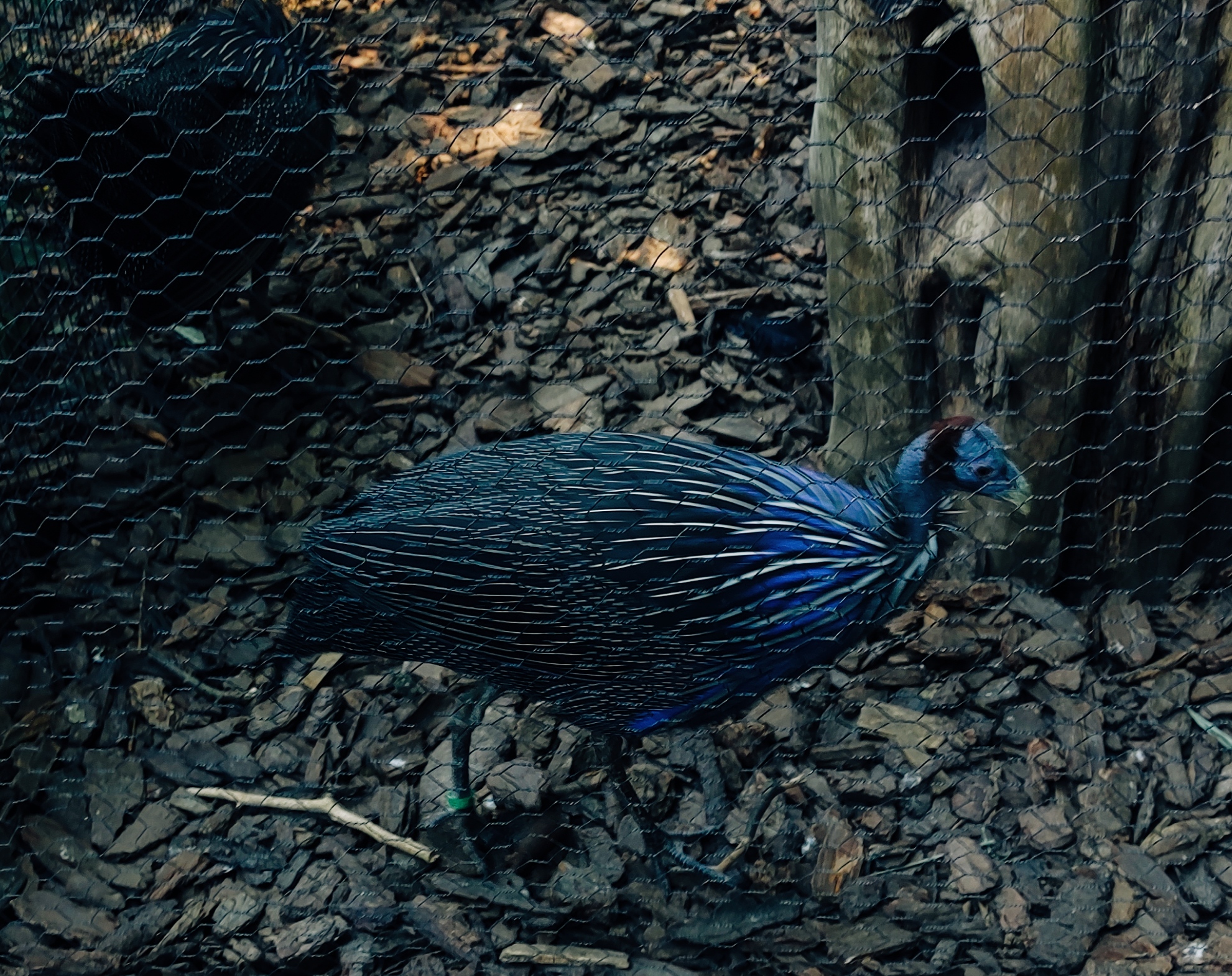 Photo n° 1 de l'avis de Florence.u fait le 06/08/2022 à 18:14