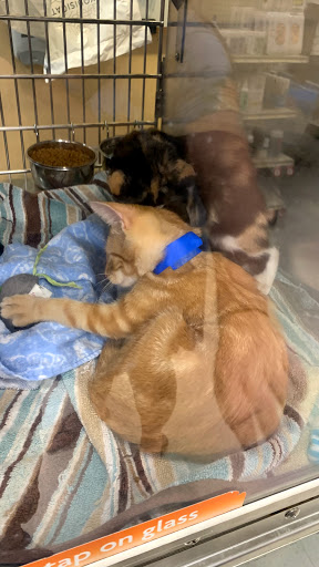 Pet Supply Store «PetSmart», reviews and photos, 7663 Arundel Mills Blvd, Hanover, MD 21076, USA