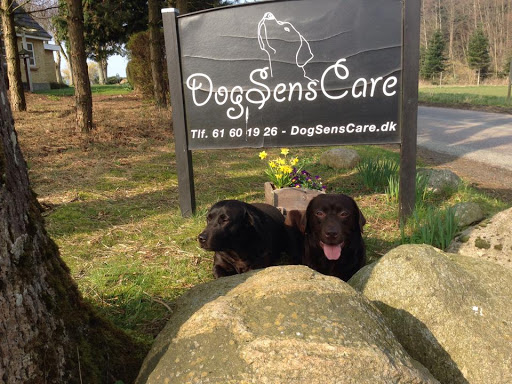 DogSensCare V/Louise Struer in Faaborg, Faaborg-Midtfyn