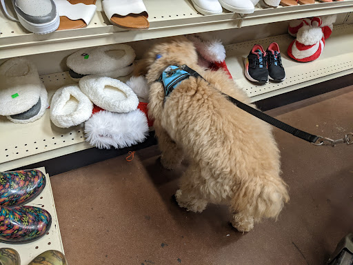 Thrift Store «Goodwill - Rock Hill», reviews and photos