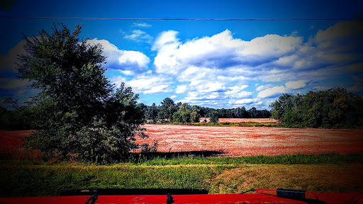 Craft Store «Michaels», reviews and photos, 4154 Commonwealth Ave, Eau Claire, WI 54701, USA