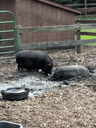 Golf Course «Knob Hill Golf Course», reviews and photos, 1 Shinnecock Dr, Manalapan Township, NJ 07726, USA