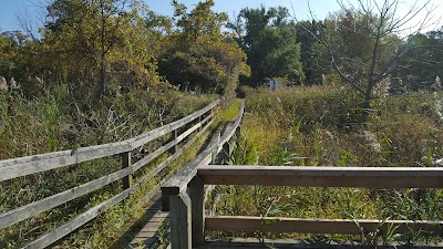 Photos of Rondeau Provincial Park