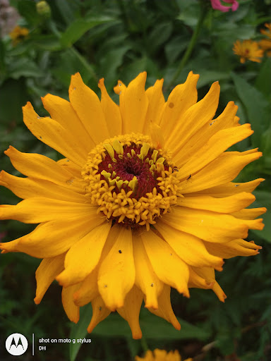 Thrift Store «Second Blessing Thrift Store Inc.», reviews and photos, 2323 Central Ave, Wichita, KS 67214, USA