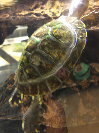 Pet Supply Store «Petco Animal Supplies», reviews and photos, 660 Chestnut Commons Dr, Elyria, OH 44035, USA