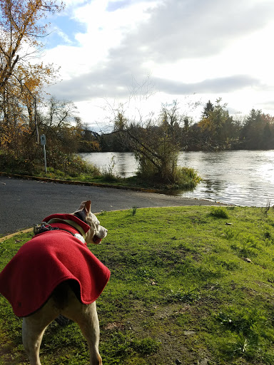 RV Park «Shamrock Village RV Park», reviews and photos, 4531 Franklin Blvd, Eugene, OR 97403, USA