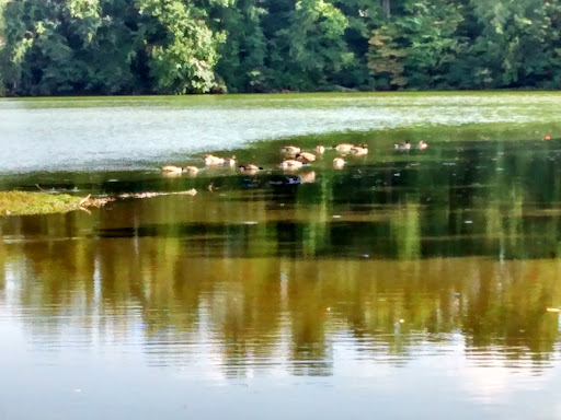 Greensboro Botanical Gardens