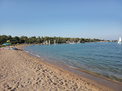 Spiaggia del Golfo delle Saline'in fotoğrafı doğal alan içinde bulunmaktadır