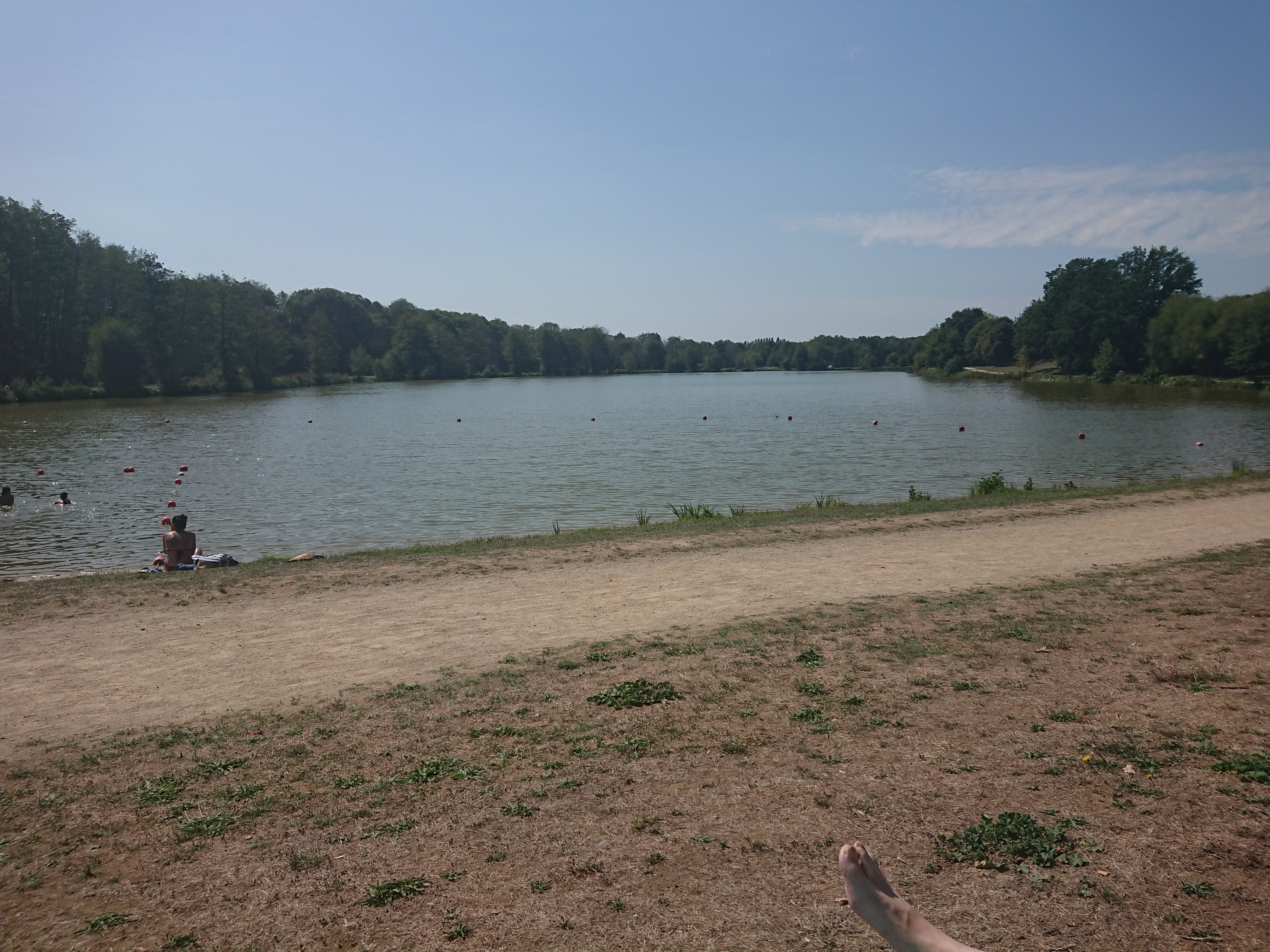 Photo n° 1 de l'avis de Wanda.e fait le 21/08/2019 à 12:36