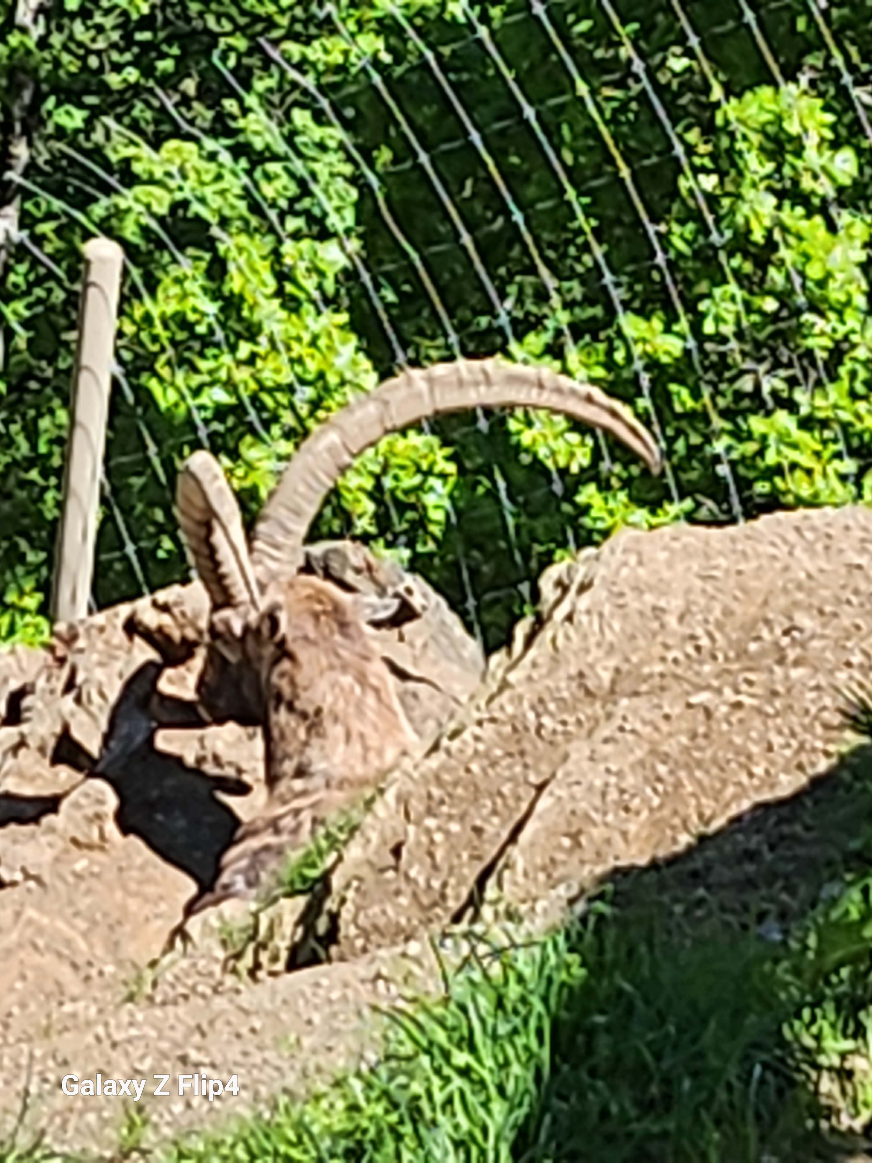 Photo n° 2 de l'avis de pascal.h fait le 02/05/2023 à 19:13