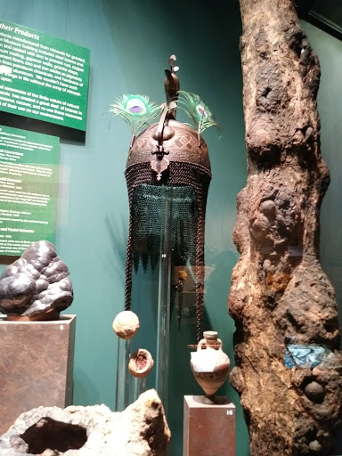 Art Museum «Bruce Museum», reviews and photos, 1 Museum Dr, Greenwich, CT 06830, USA