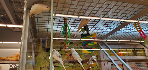 Pet Store «PetSmart», reviews and photos, 267 Berlin Turnpike, Berlin, CT 06037, USA