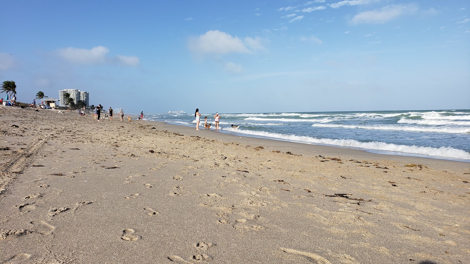 Foto de Hollywood Dog beach com alto nível de limpeza