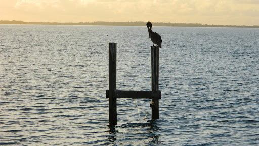 Marina «Fort Pierce City Marina», reviews and photos, 1 Avenue A, Fort Pierce, FL 34950, USA