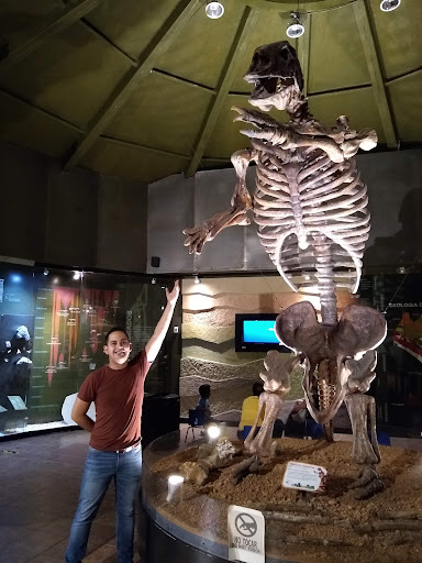 Museo de Fosiles