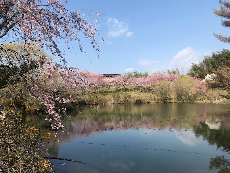 足澤湖庭園