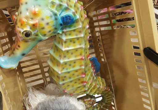 Department Store «HomeGoods», reviews and photos, 5225 Settlers Market Blvd, Williamsburg, VA 23188, USA