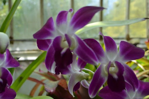 Science Museum «Great Lakes Science Center», reviews and photos, 601 Erieside Ave, Cleveland, OH 44114, USA