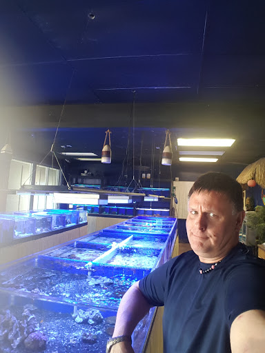 Tropical Fish Store «Saltwater Island», reviews and photos, 15214 Manchester Rd, Ballwin, MO 63011, USA