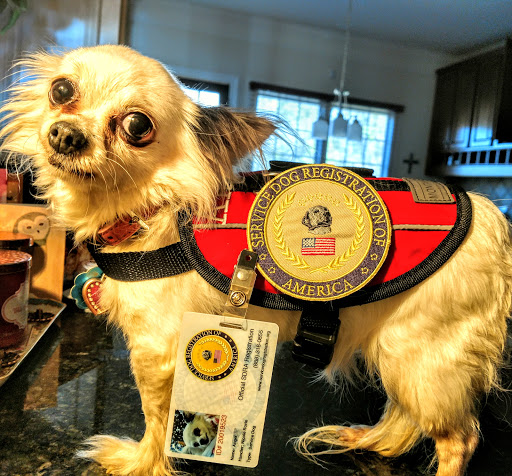 Pet Supply Store «PetSmart», reviews and photos, 9905 E Independence Blvd, Matthews, NC 28105, USA