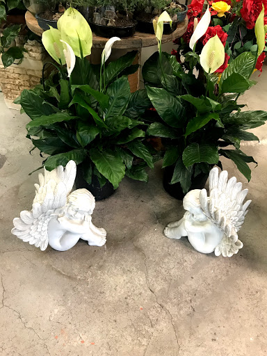 Florist «Floreria Alcatraz», reviews and photos, 159 Aldine Bender Rd #174, Houston, TX 77060, USA