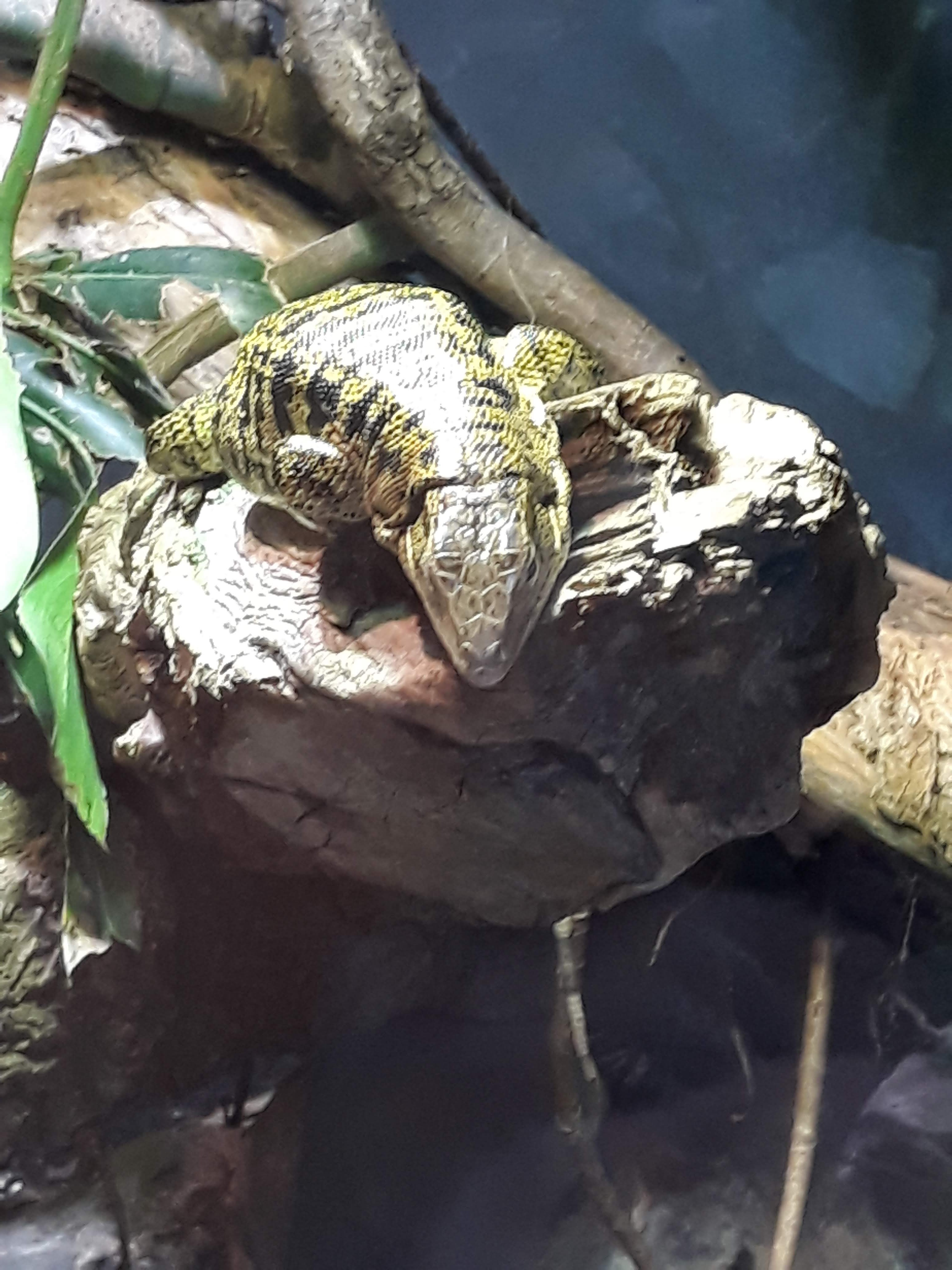 Photo n° 15 de l'avis de Ludo.a fait le 30/08/2021 à 17:15