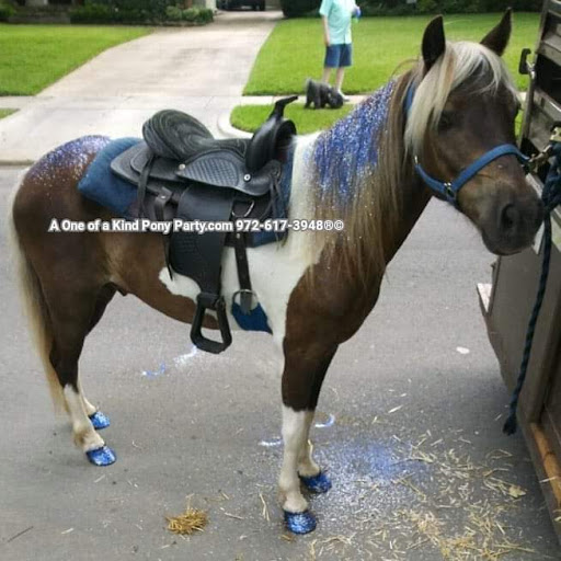 Zoo «A One of A Kind Pony Party», reviews and photos, 912 Bells Chapel Cir, Waxahachie, TX 75165, USA