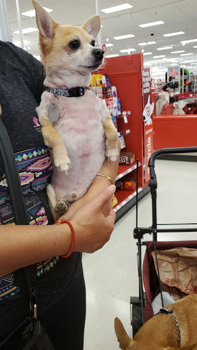 Department Store «Target», reviews and photos, 4200 E 4th St, Ontario, CA 91764, USA