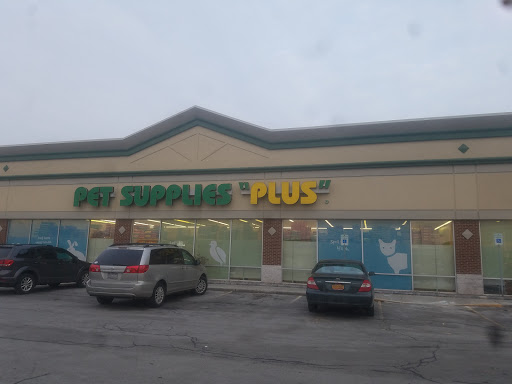 Pet Supply Store «Pet Supplies Plus», reviews and photos, 2155 Delaware Ave, Buffalo, NY 14216, USA