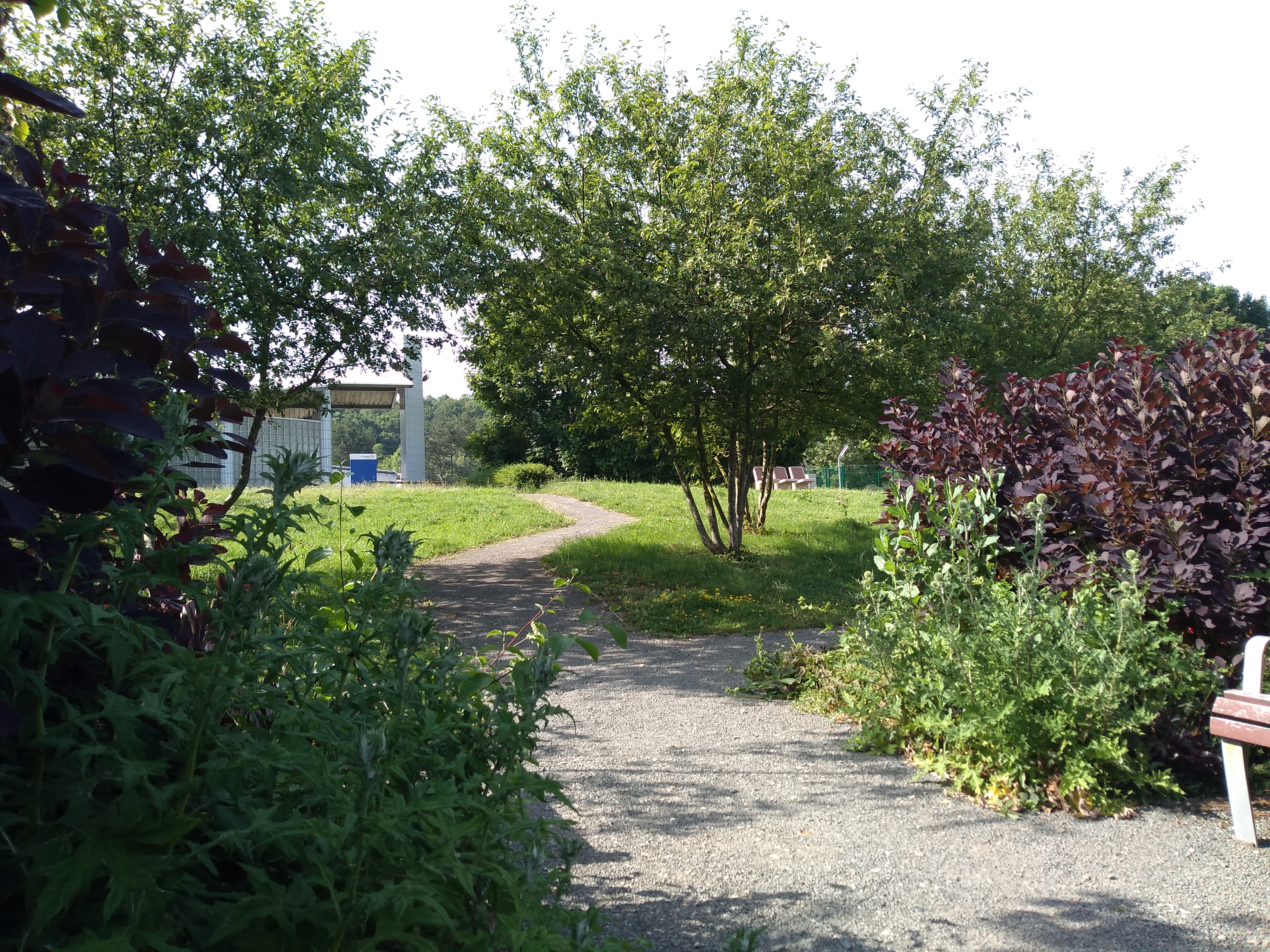 Photo n° 1 de l'avis de Tosia.z fait le 27/06/2019 à 16:00