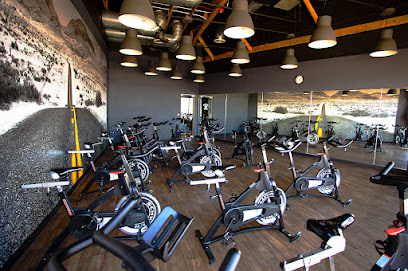 Mad Dog Fitness - 2250 AZ-95 #336, Bullhead City, AZ 86442