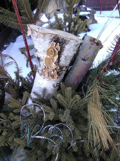 Community Center «Monticello Community Center», reviews and photos, 505 Walnut St # 4, Monticello, MN 55362, USA