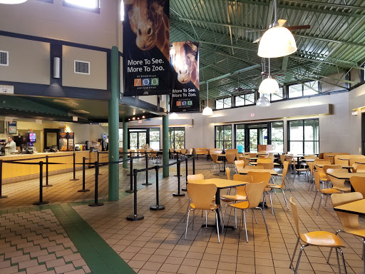 Zoo «Jacksonville Zoo and Gardens», reviews and photos, 370 Zoo Pkwy, Jacksonville, FL 32218, USA