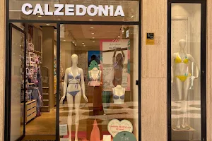 Calzedonia image