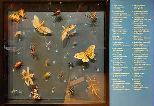 Science Museum «Museum of Life and Science», reviews and photos, 433 W Murray Ave, Durham, NC 27704, USA