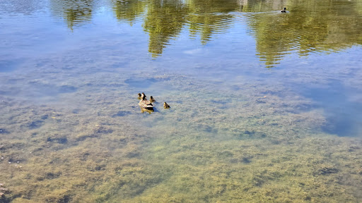 Park «Manila Creek Park», reviews and photos, 706 W 3300 N, Pleasant Grove, UT 84062, USA