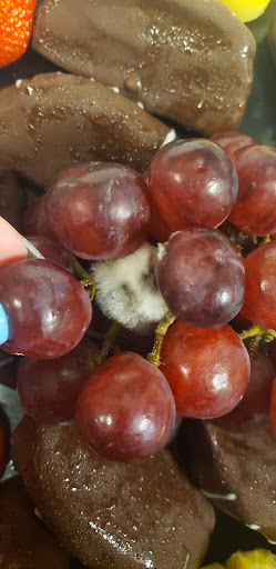 Gift Shop «Edible Arrangements», reviews and photos, 617 Uptown Blvd #105, Cedar Hill, TX 75104, USA