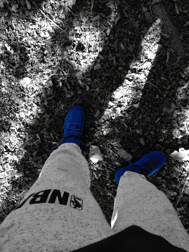 Shoe Store «Shoe Palace», reviews and photos, 2901 S Capital of Texas Hwy, Austin, TX 78746, USA