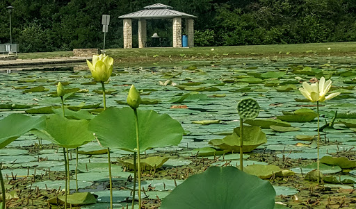 Park «Town Center Park», reviews and photos, 356 E Tripp Rd, Sunnyvale, TX 75182, USA