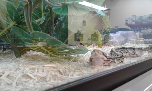 Pet Supply Store «Petco Animal Supplies», reviews and photos, 4950 S 76th St, Greenfield, WI 53220, USA