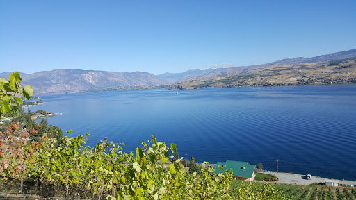 Vineyard «Mellisoni Vineyards», reviews and photos, 3155 US-97 ALT, Chelan, WA 98816, USA